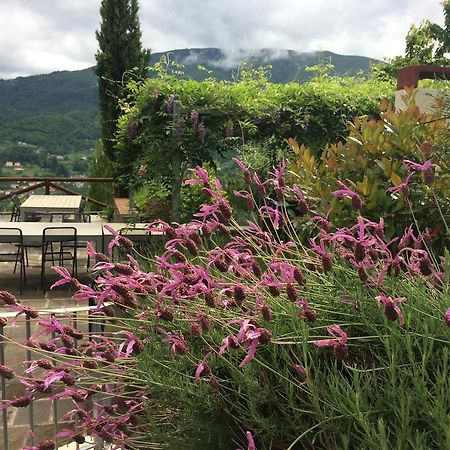 Agriturismo Braccicorti Pieve Fosciana Ngoại thất bức ảnh