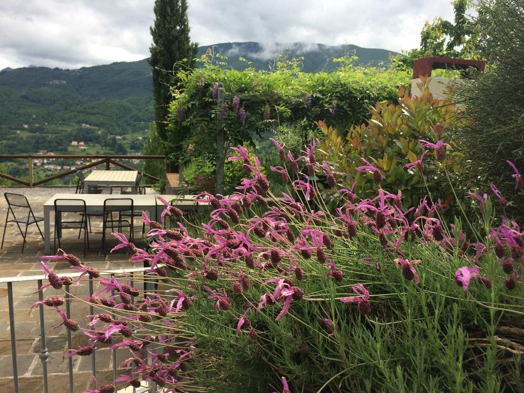 Agriturismo Braccicorti Pieve Fosciana Ngoại thất bức ảnh