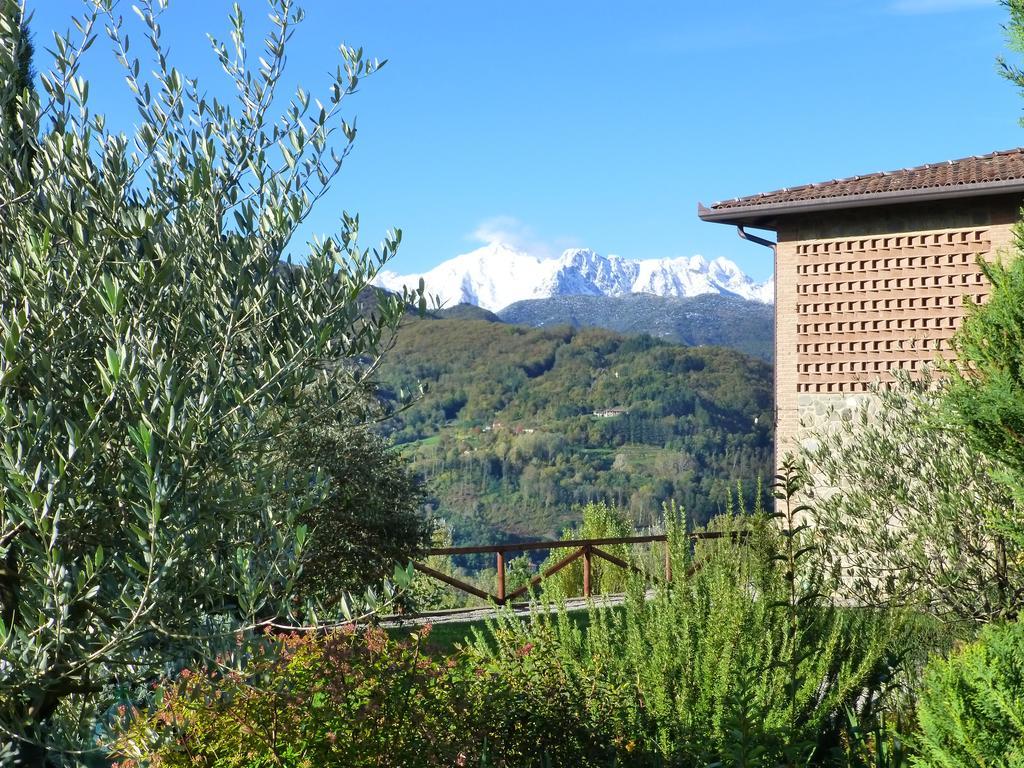 Agriturismo Braccicorti Pieve Fosciana Ngoại thất bức ảnh