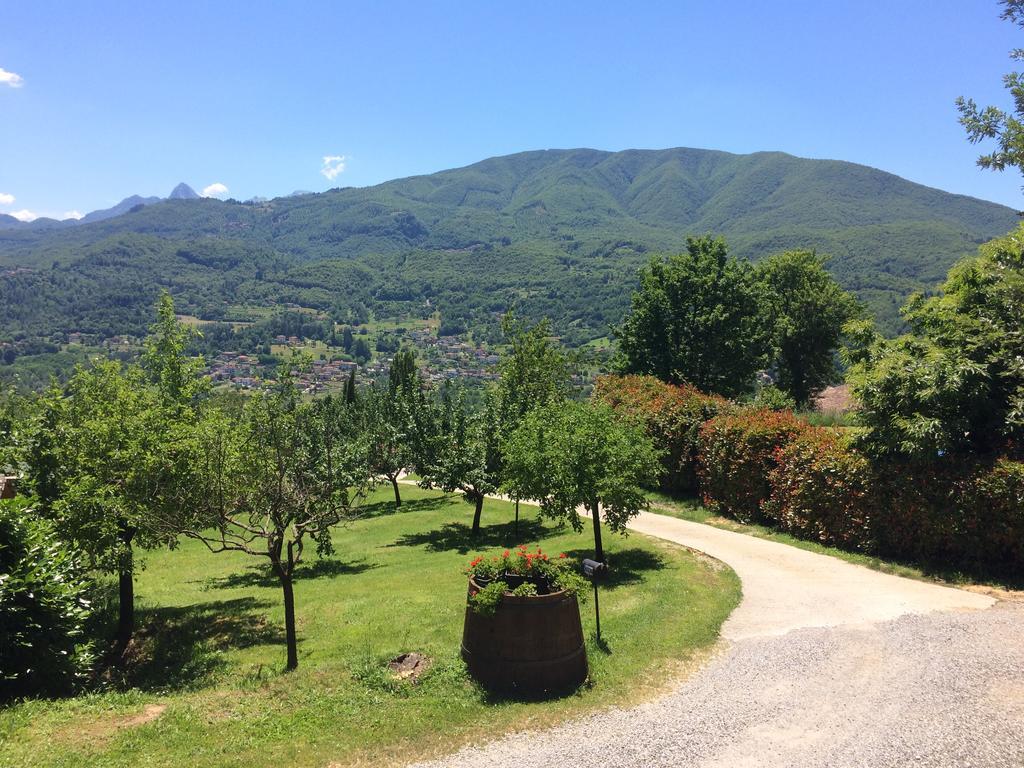 Agriturismo Braccicorti Pieve Fosciana Ngoại thất bức ảnh