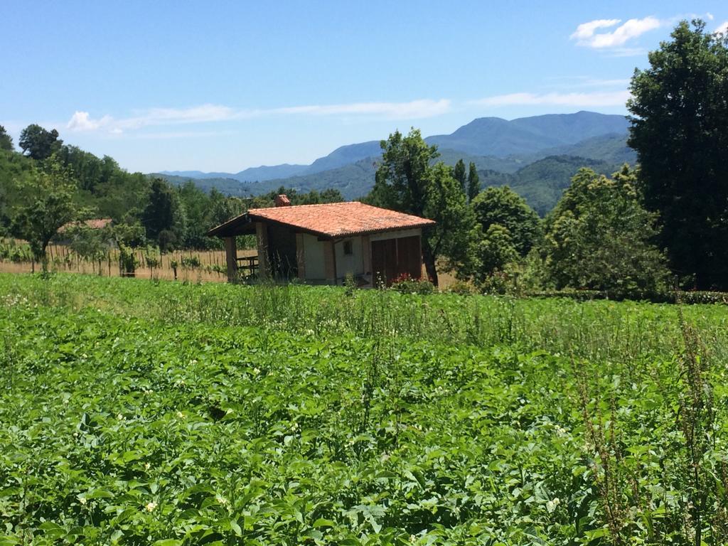 Agriturismo Braccicorti Pieve Fosciana Ngoại thất bức ảnh