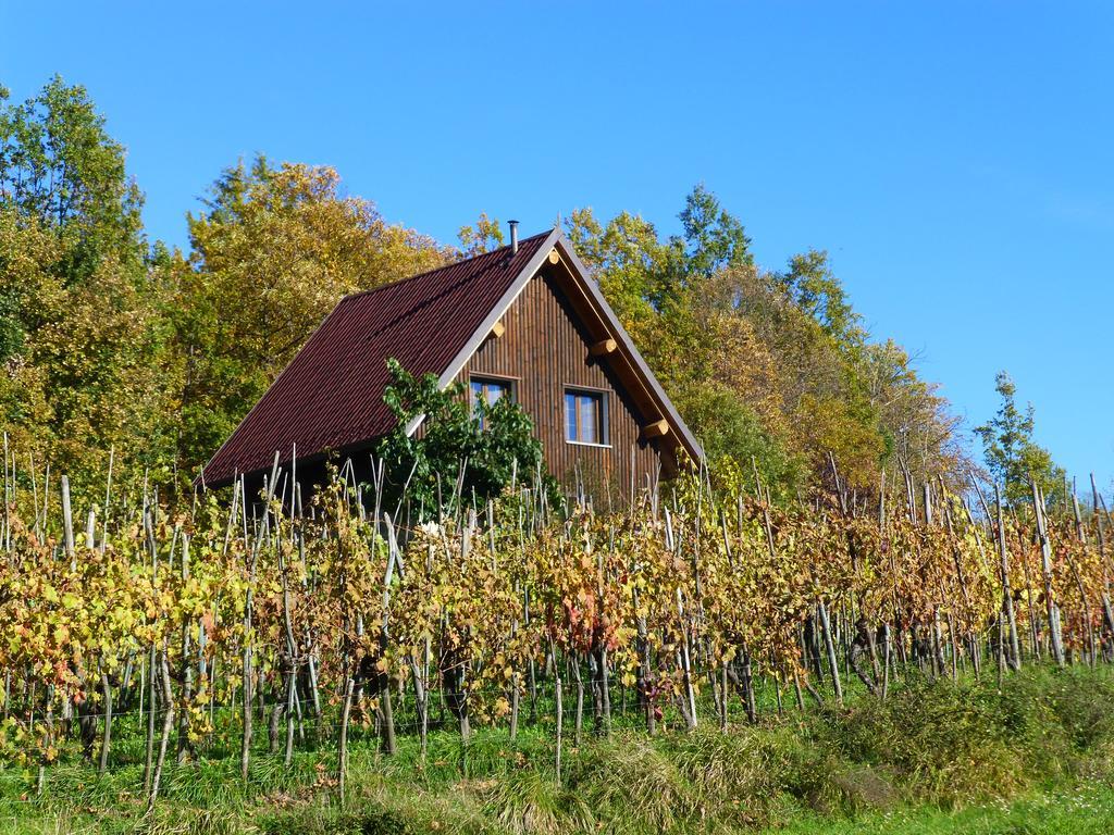 Agriturismo Braccicorti Pieve Fosciana Ngoại thất bức ảnh