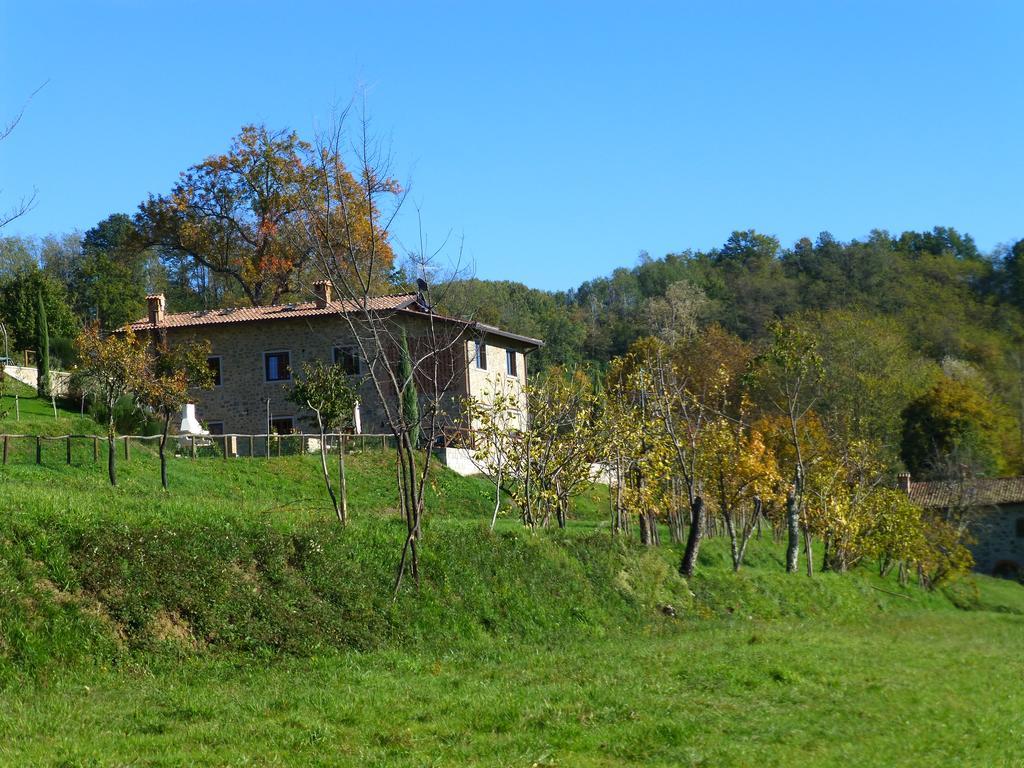 Agriturismo Braccicorti Pieve Fosciana Ngoại thất bức ảnh
