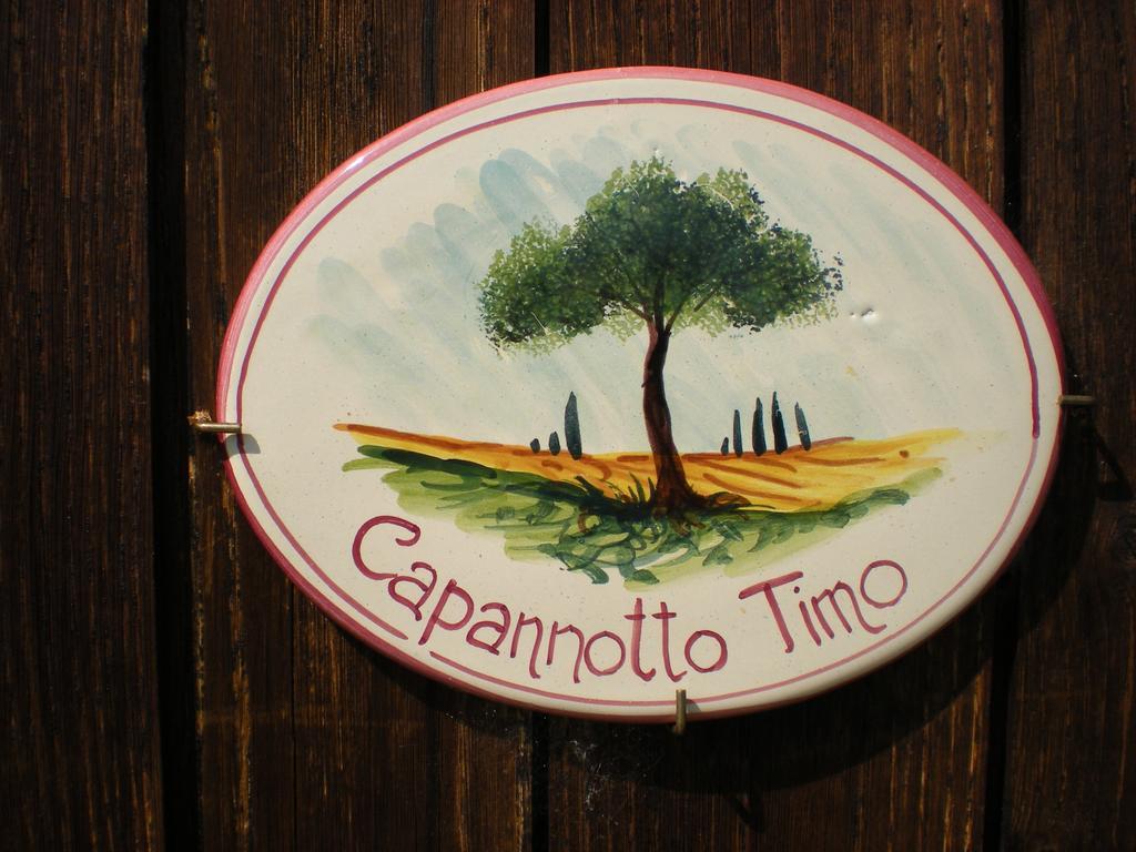 Agriturismo Braccicorti Pieve Fosciana Ngoại thất bức ảnh