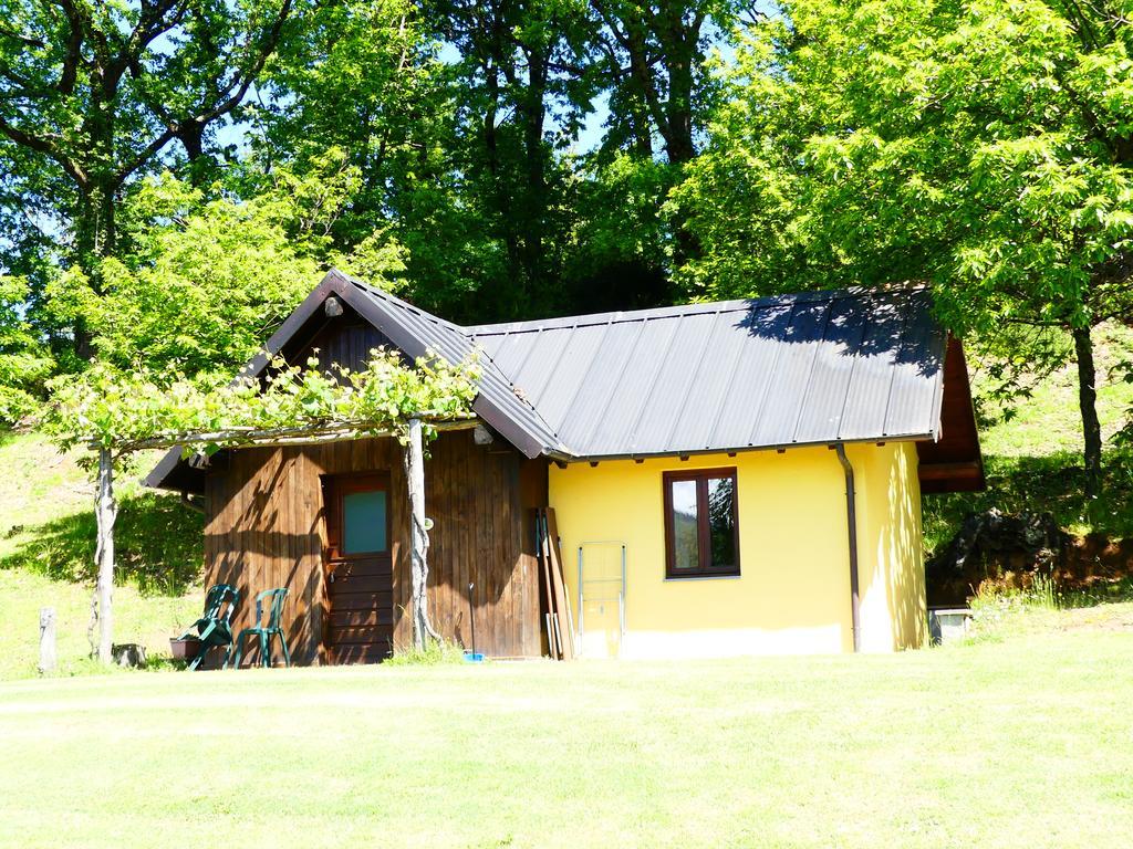 Agriturismo Braccicorti Pieve Fosciana Ngoại thất bức ảnh